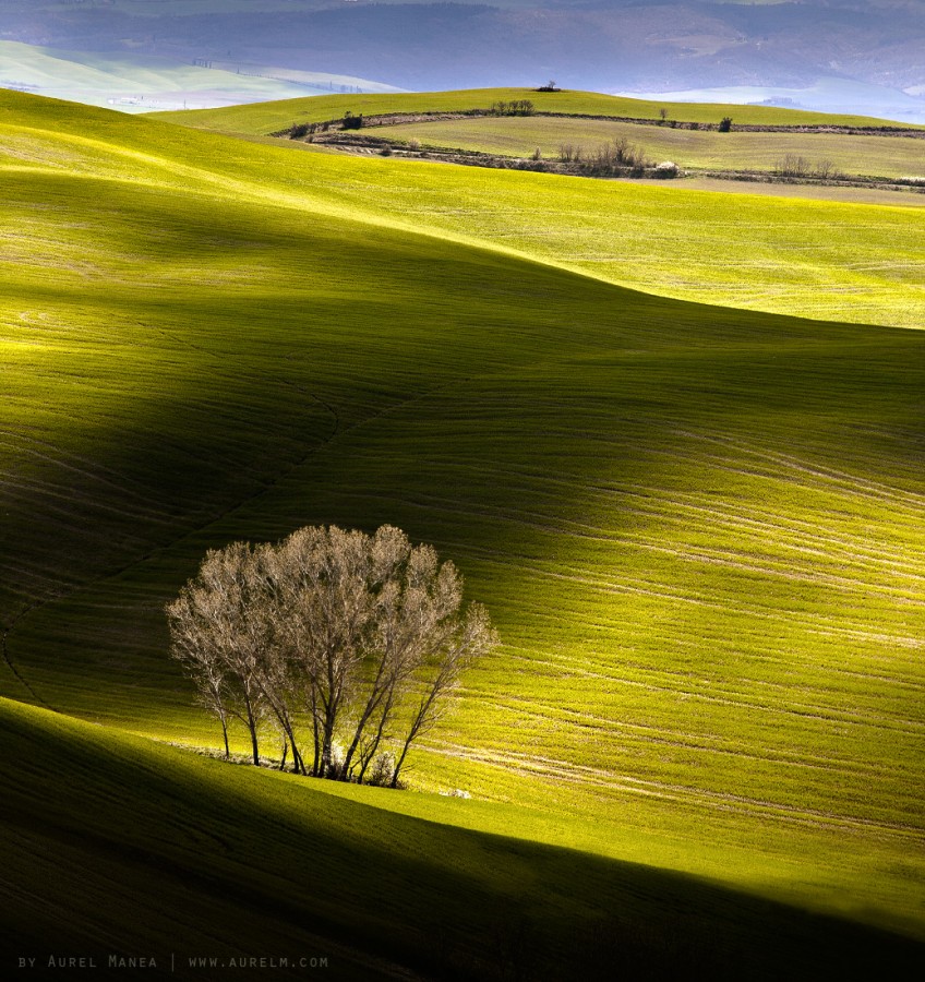 Tuscany shadow light Italy hills green 